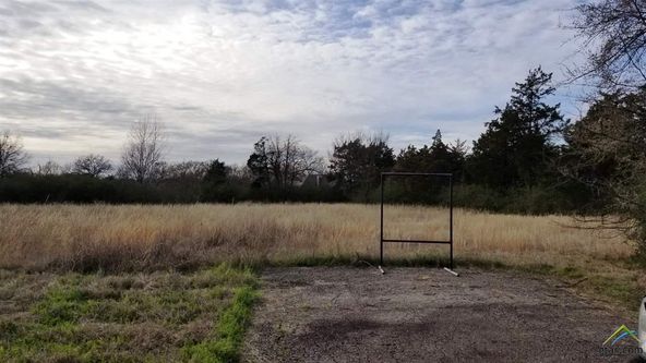 CR 1010 and Hwy 37: CR 1010 and Hwy 37, Mount Vernon, TX 75457